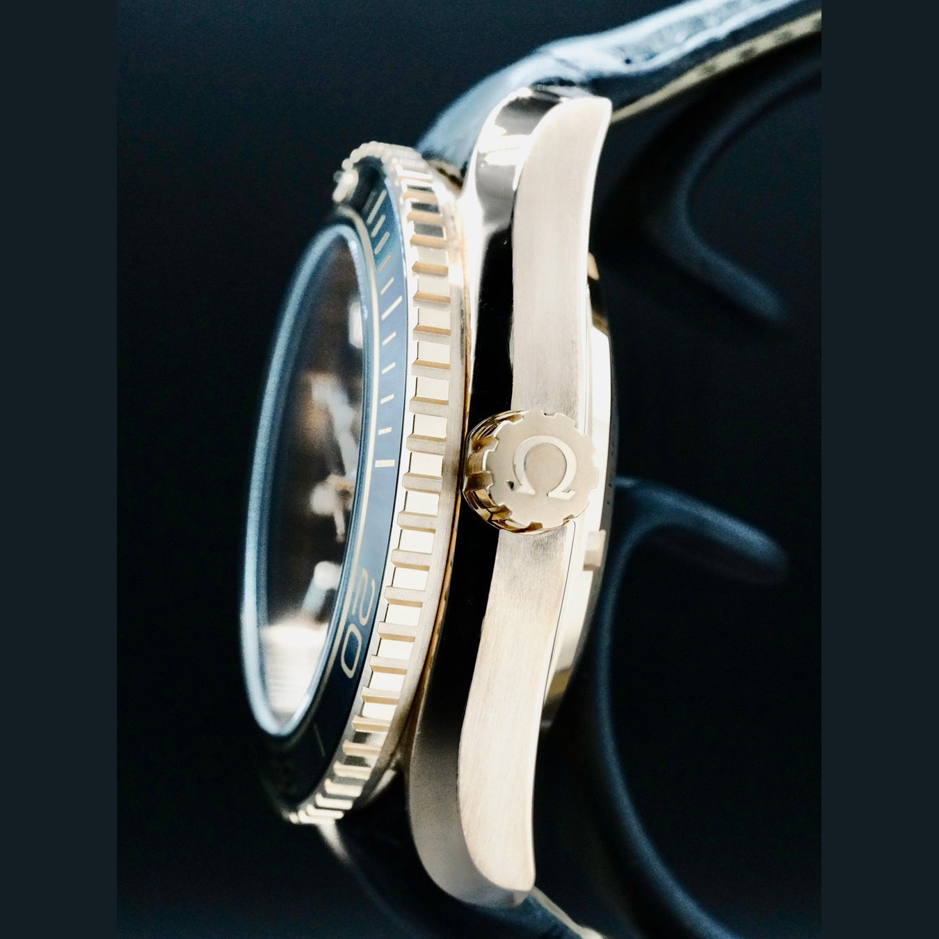 Omega 232.63.42.21.01.001 Planet Ocean 600M Co-axial 42mm