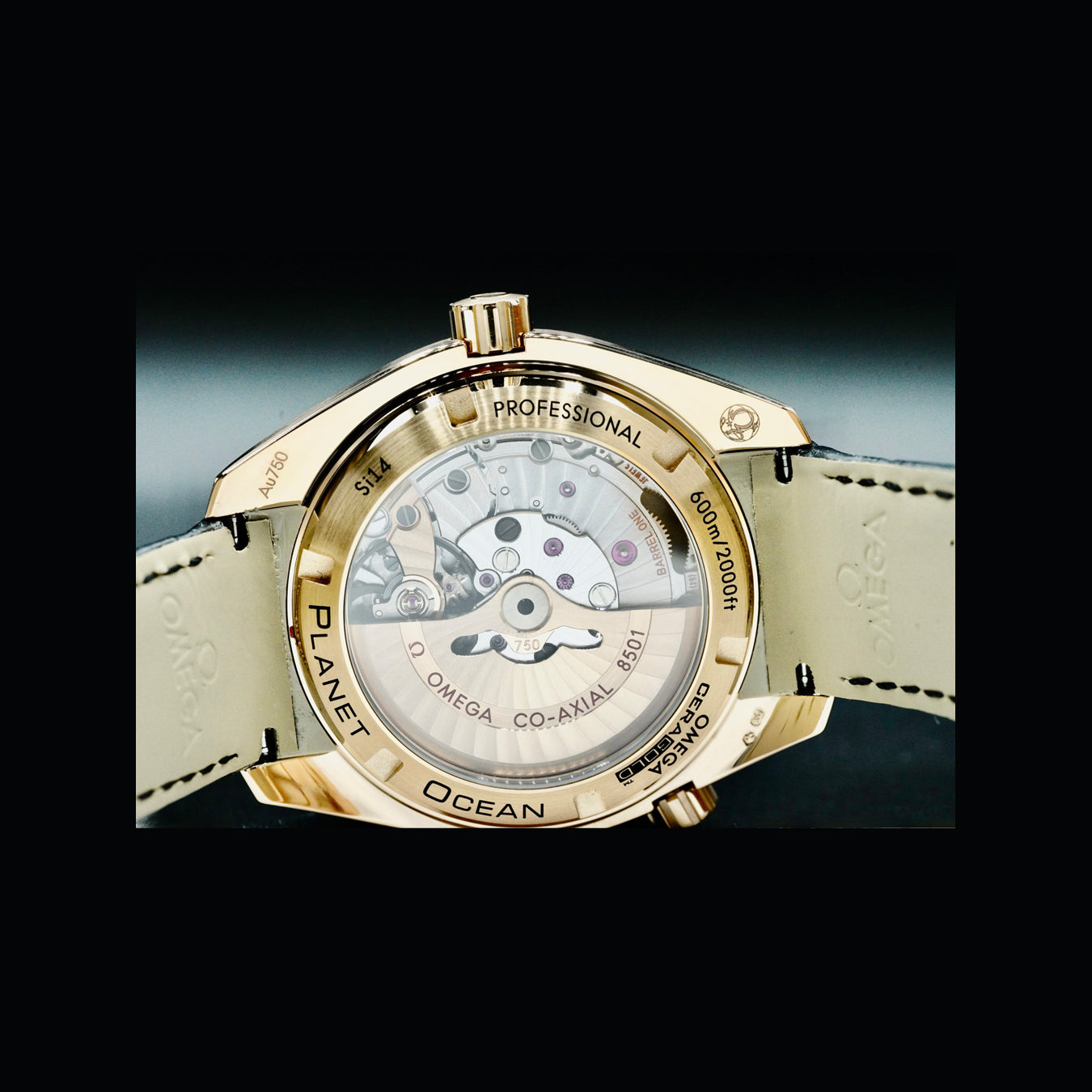Omega 232.63.42.21.01.001 Planet Ocean 600M Co-axial 42mm