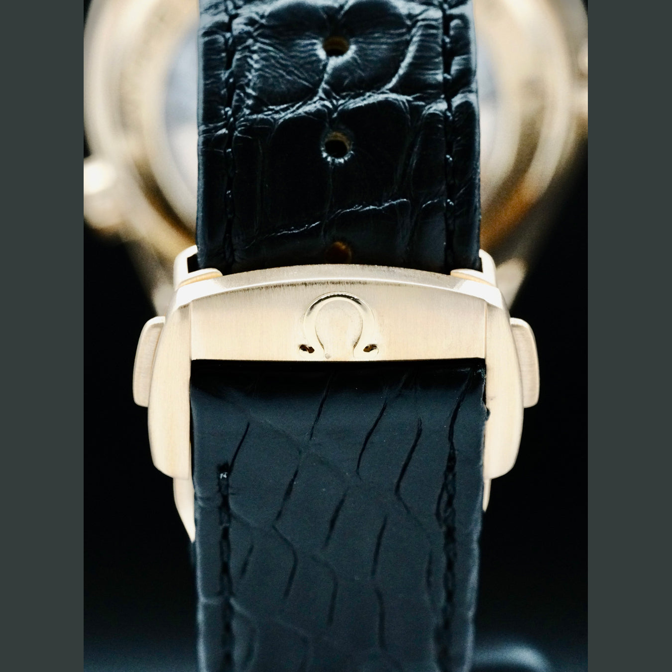 Omega 232.63.42.21.01.001 Planet Ocean 600M Co-axial 42mm