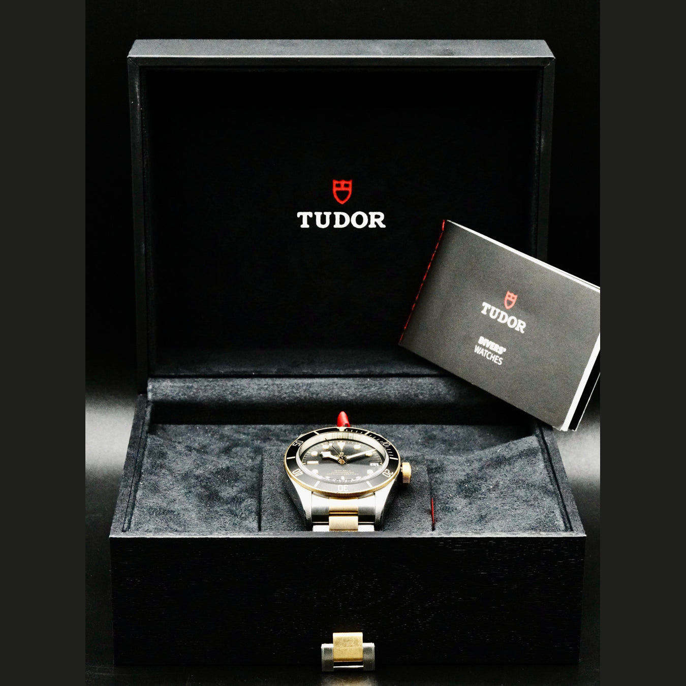 Tudor M79733N-0008 Black Bay Steel & Gold