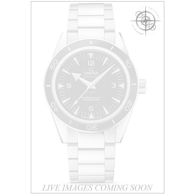Omega 233.90.41.21.03.002 Seamaster 300 Master Co-axial Platinum