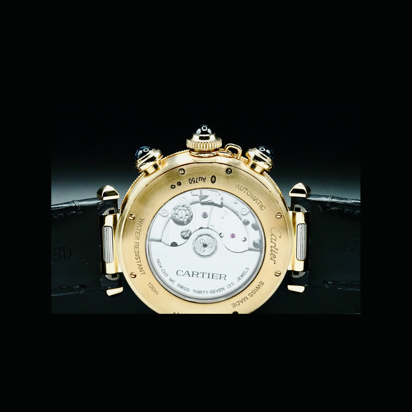 Cartier WGPA0017 Pasha Yellow Gold