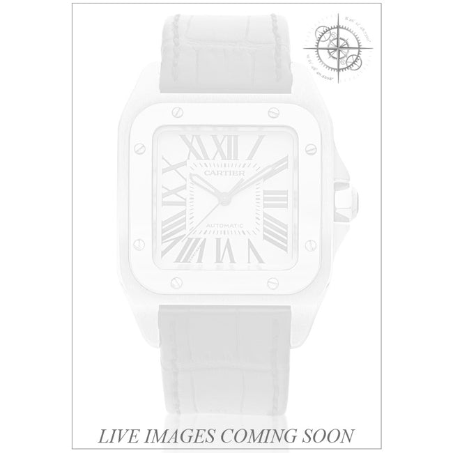 Cartier 2878 Santos 100