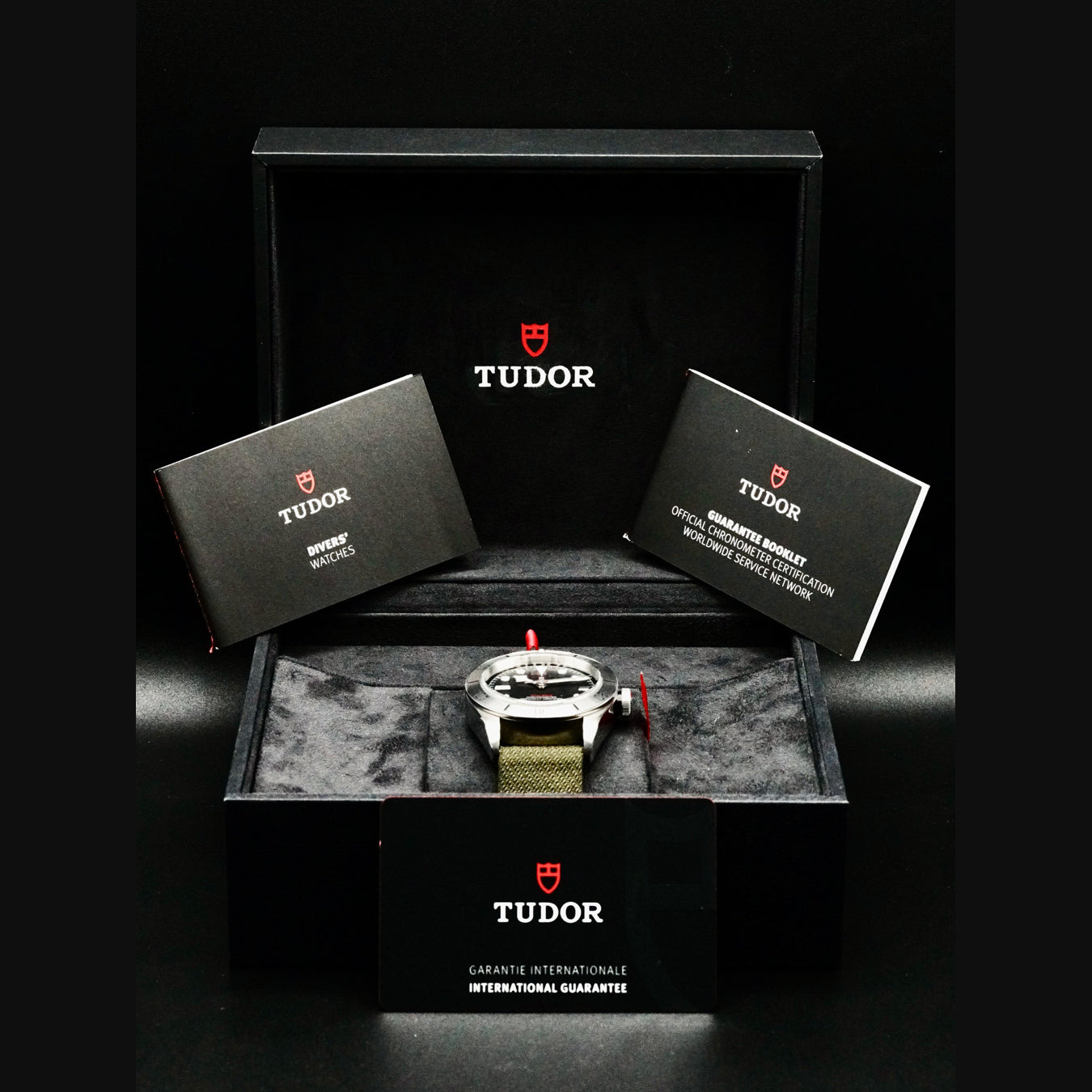 Tudor 79720 Black Bay Steel