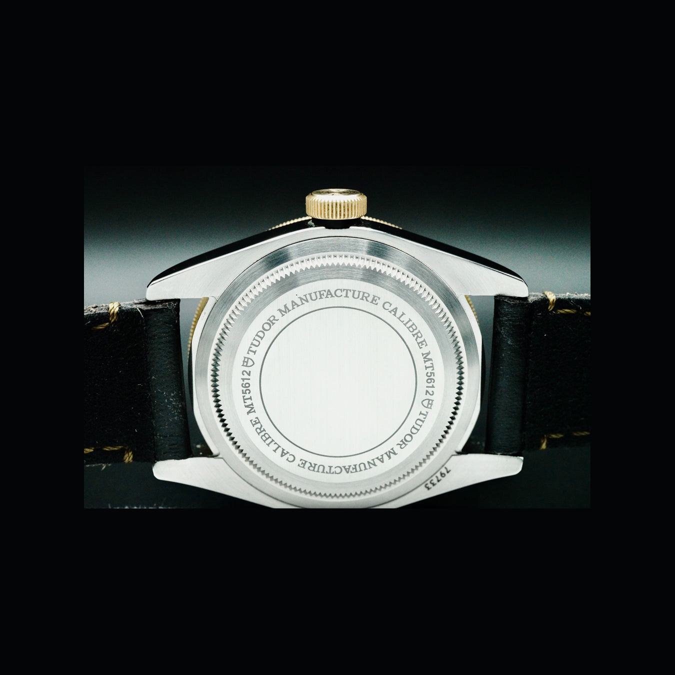 Tudor 79733N Black Bay Steel and Gold
