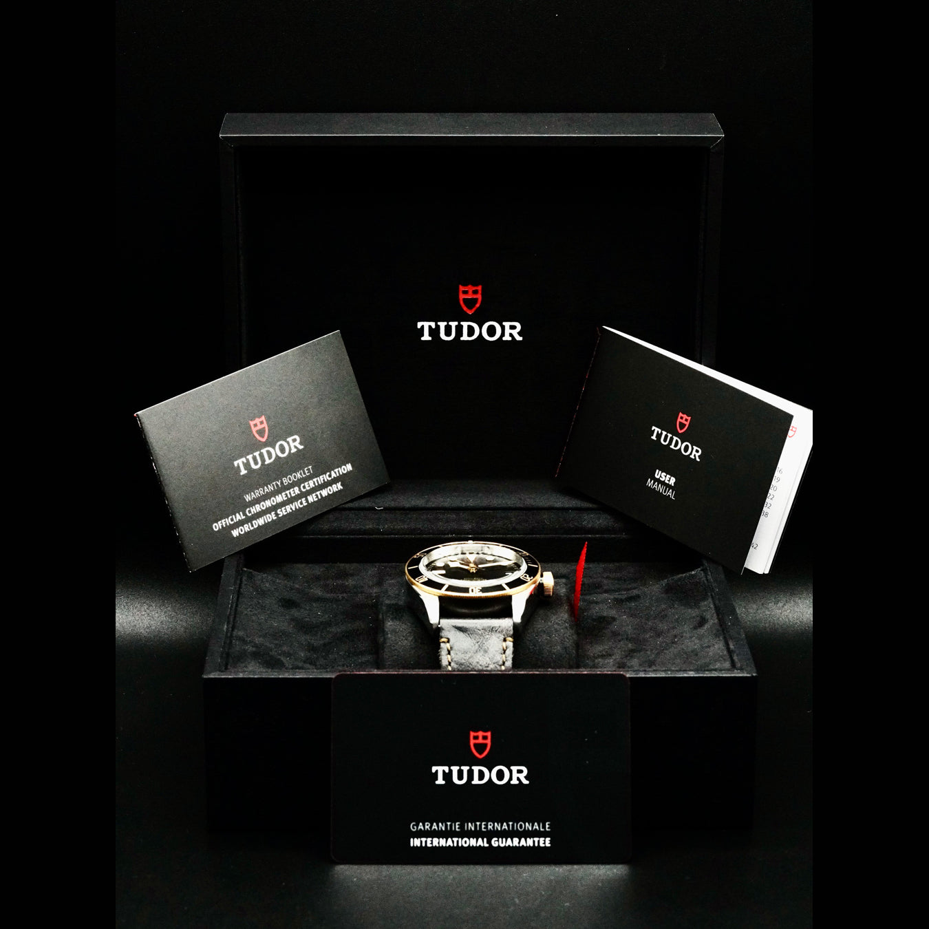 Tudor 79733N Black Bay Steel and Gold