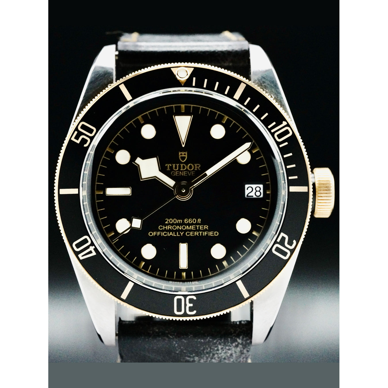 Tudor 79733N Black Bay Steel and Gold