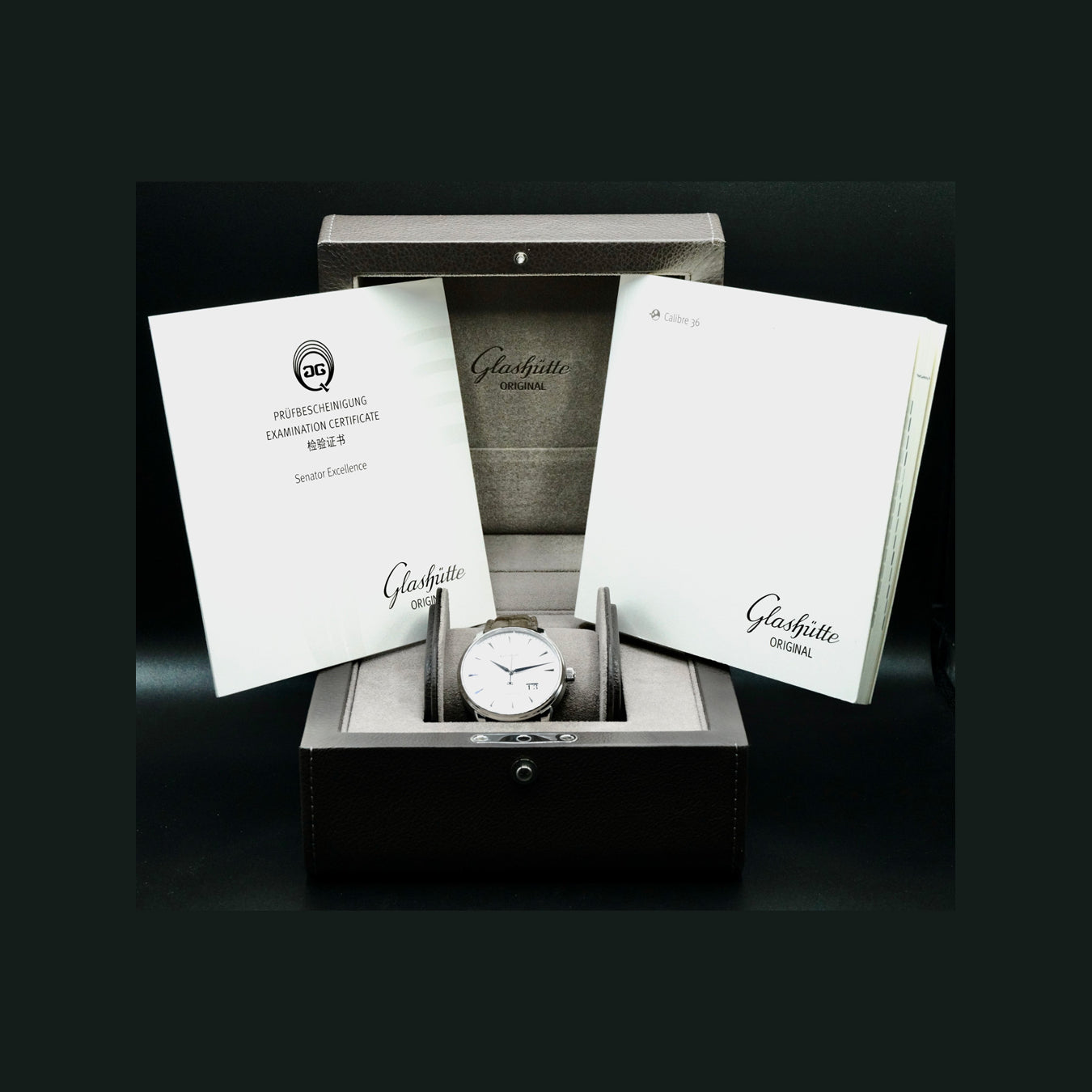 Glashütte Original Senator Excellence Panorama Date White Dial 1-36-03-05-02-31