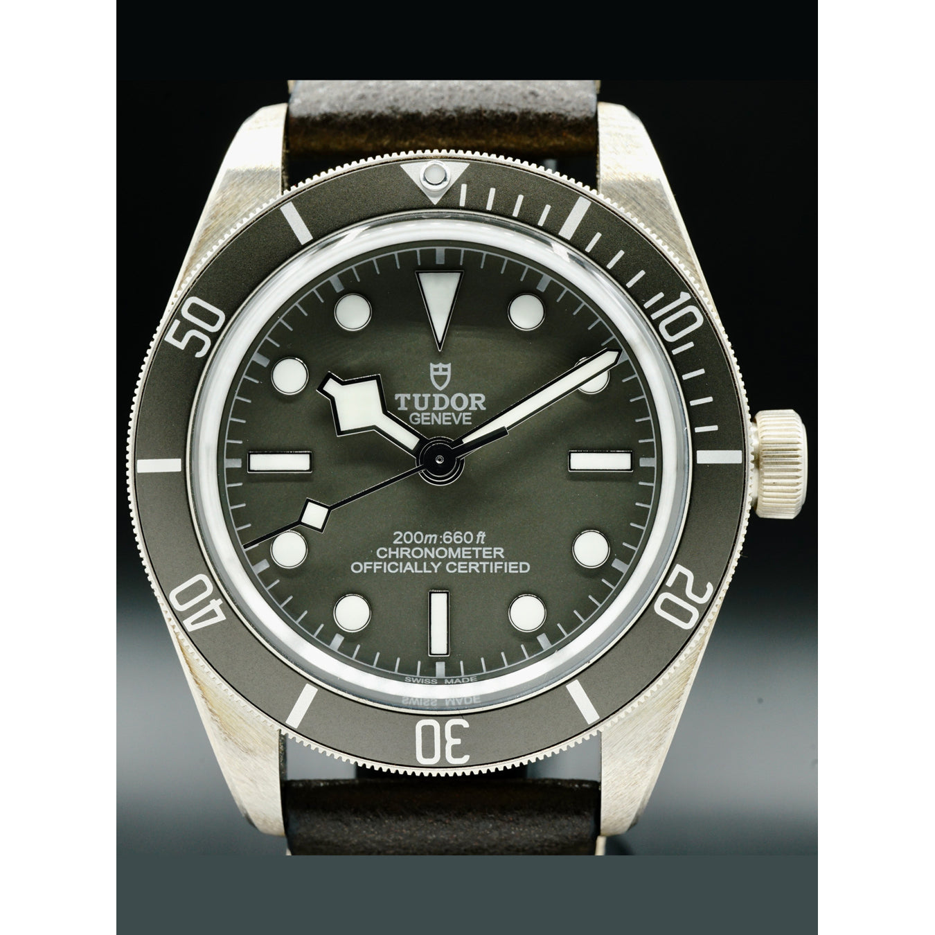 Tudor Black Bay 79010SG