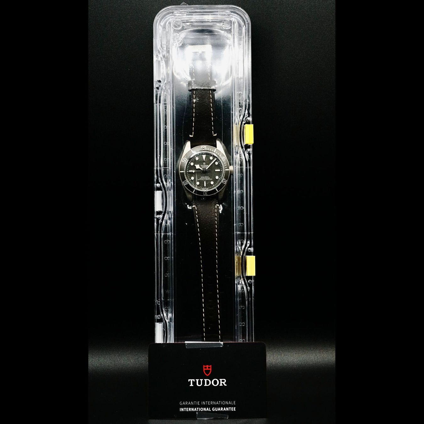 Tudor Black Bay 79010SG