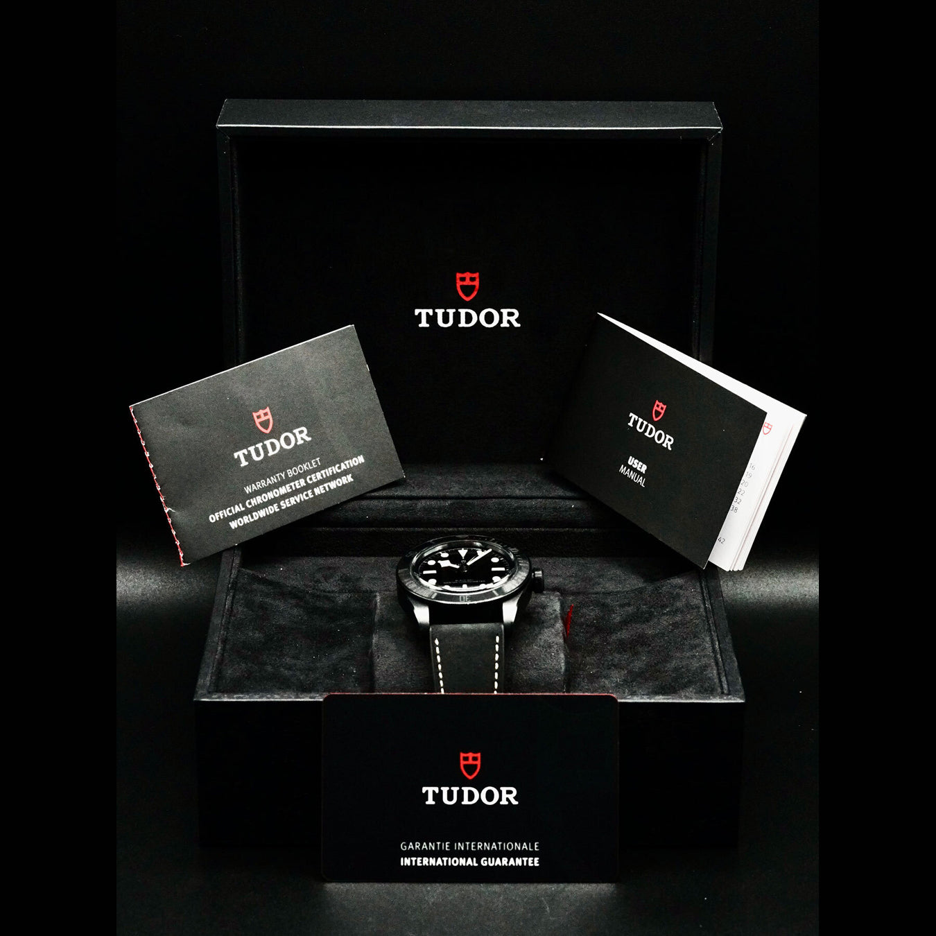Tudor 79210CNU Black Bay Ceramic