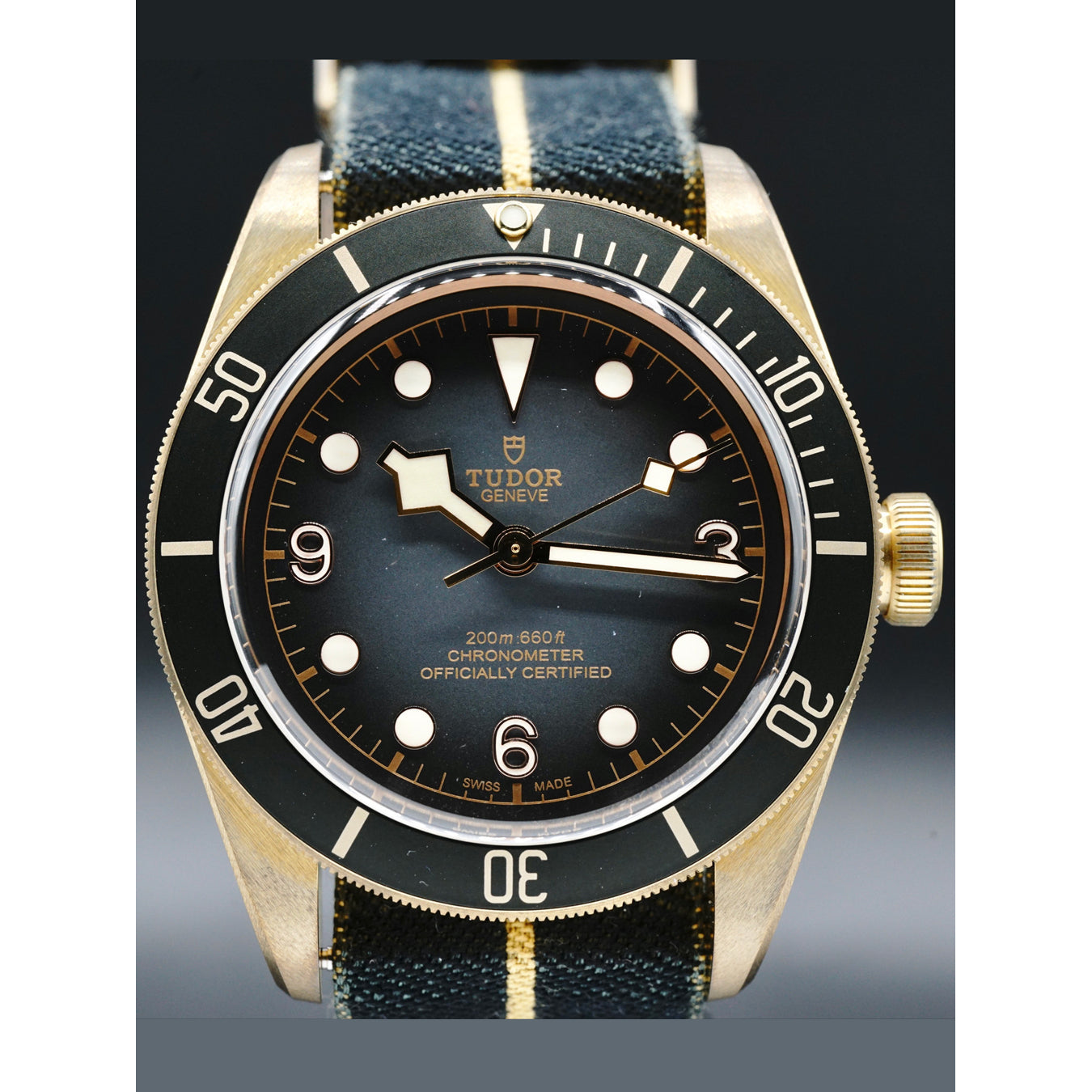 Tudor 79250BA Bronze