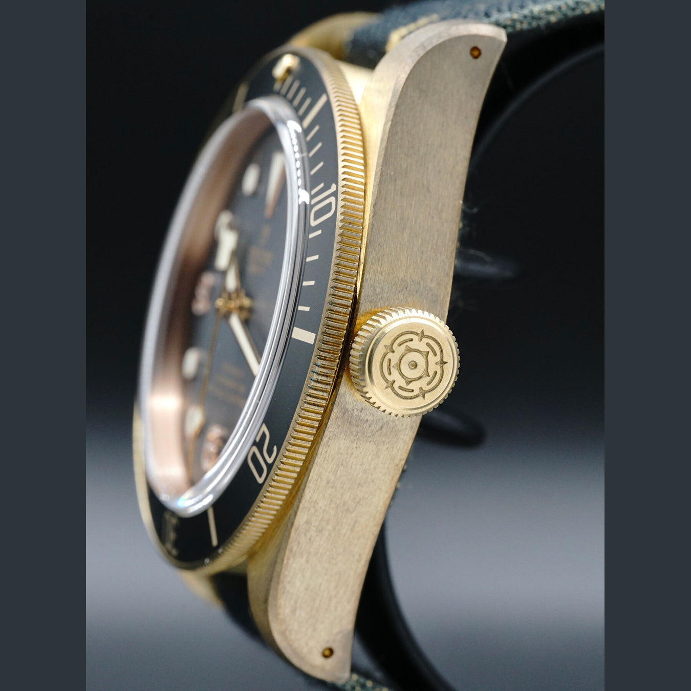 Tudor 79250BA Bronze