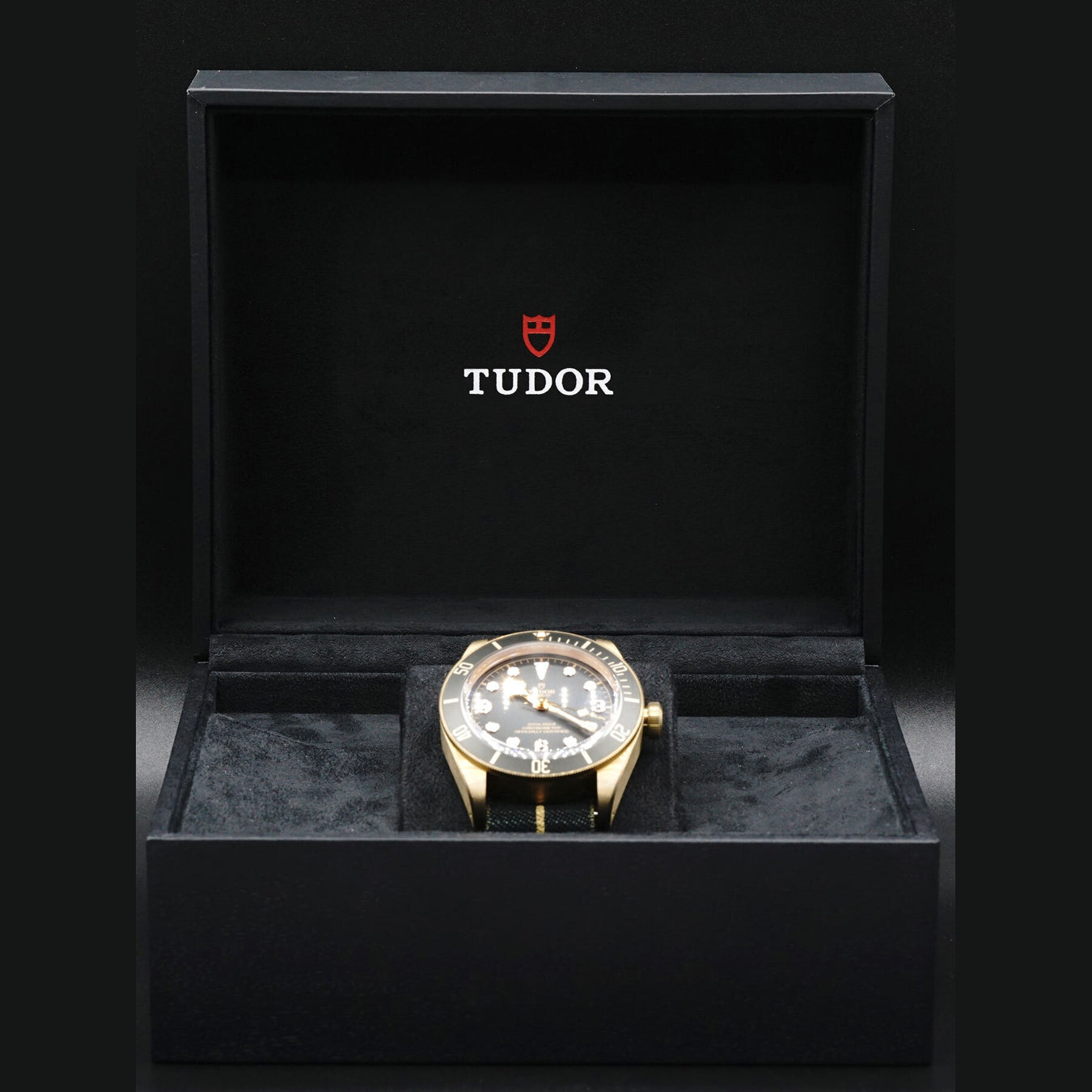 Tudor 79250BA Bronze