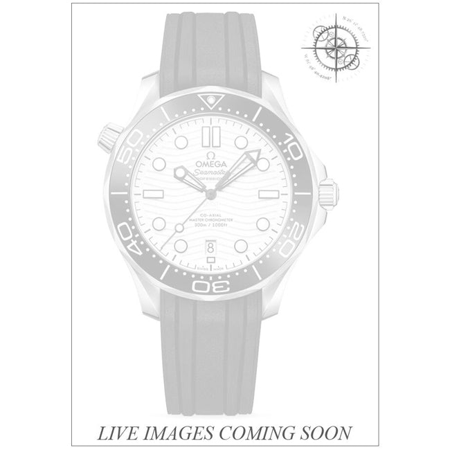 Omega 210.32.42.20.04.001 Seamaster 300M Diver White Dial