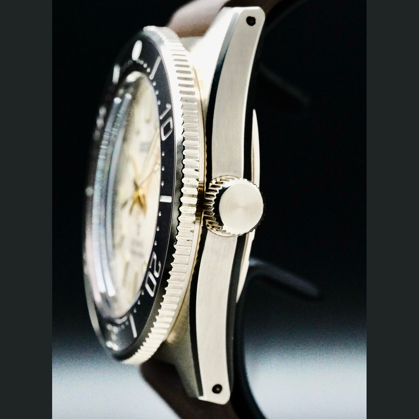 Seiko Prospex SLA066 1965 Diver's Watch Modern Re-interpretation Save the Ocean Limited Edition
