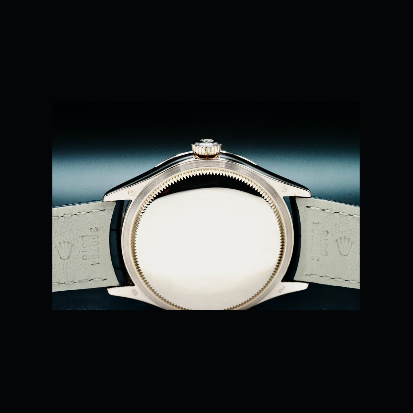 Rolex 50515 Cellini