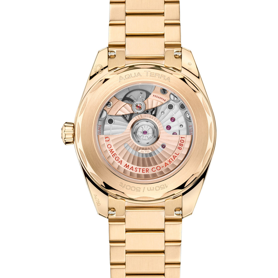 Omega 220.50.38.20.08.001 Seamaster Aqua Terra Shades