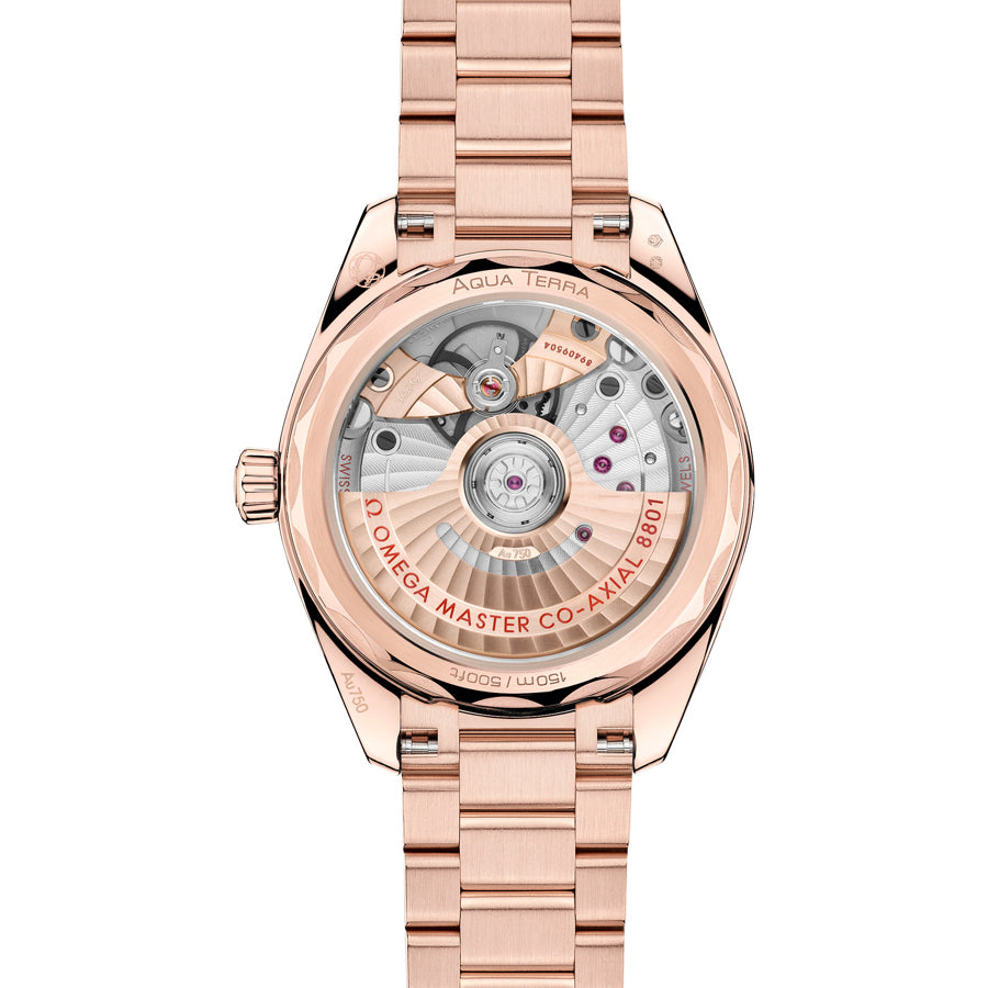 Omega 220.55.34.20.60.001 Seamaster Aqua Terra Shades
