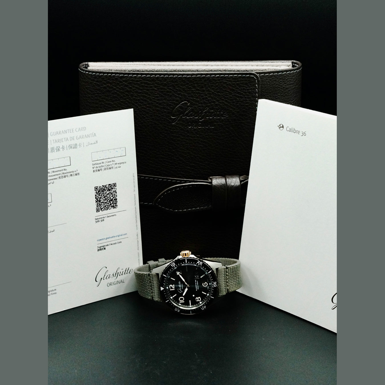 Glashütte Original 1-36-13-04-91-34 SeaQ Panorama Date Steel and Gold