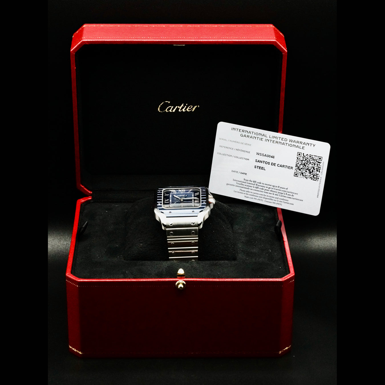 Cartier WSSA0048 Santos