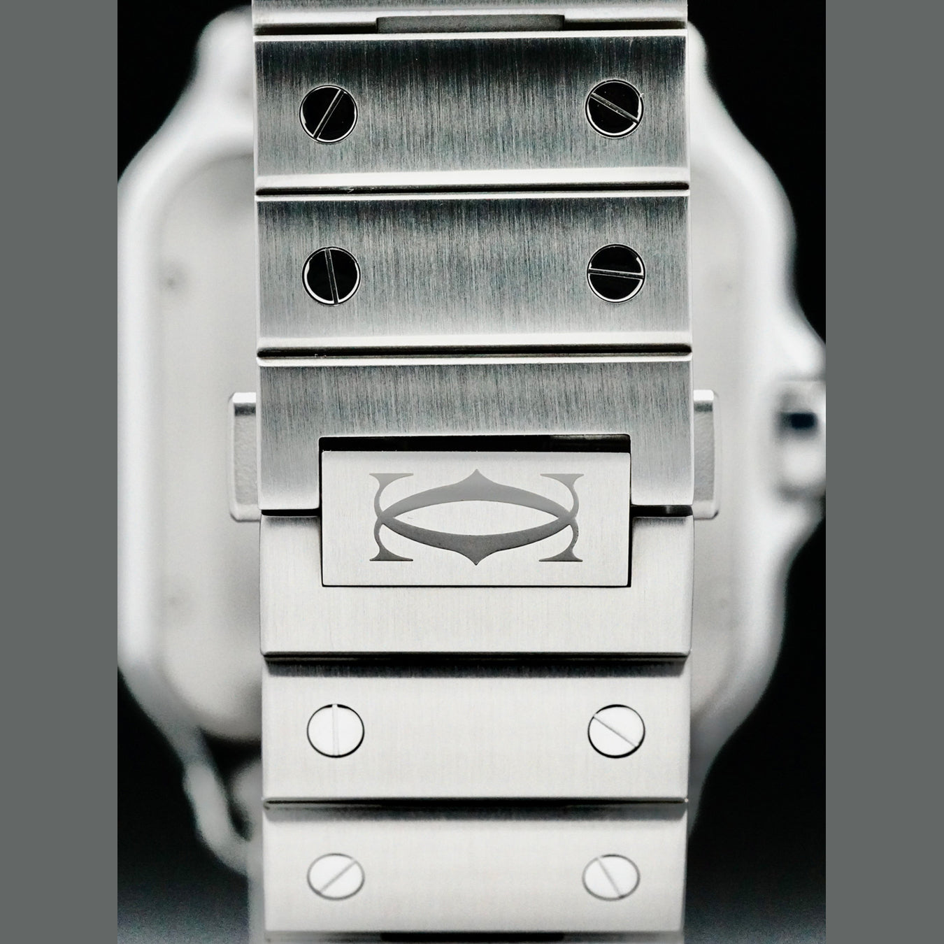Cartier WSSA0048 Santos