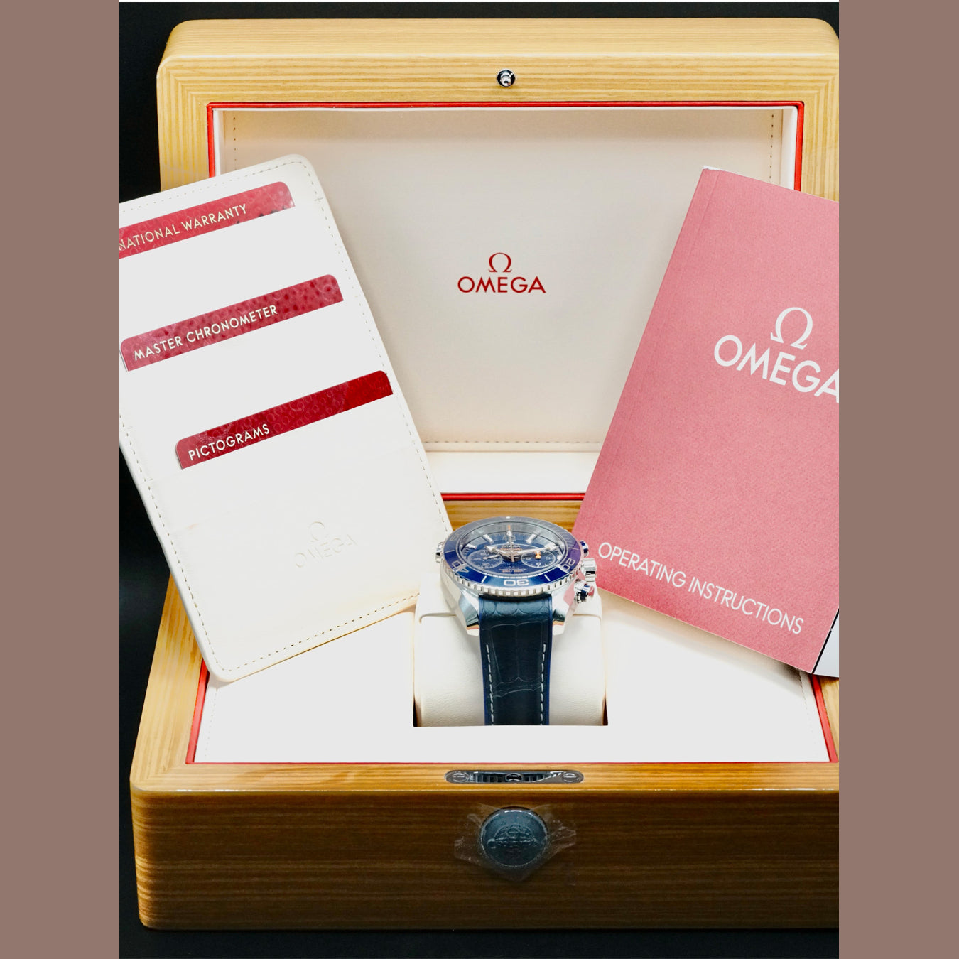 Planet Ocean 600M Omega Co-Axial Master Chronometer Chronograph 45.5mm 215.33.46.51.03.001