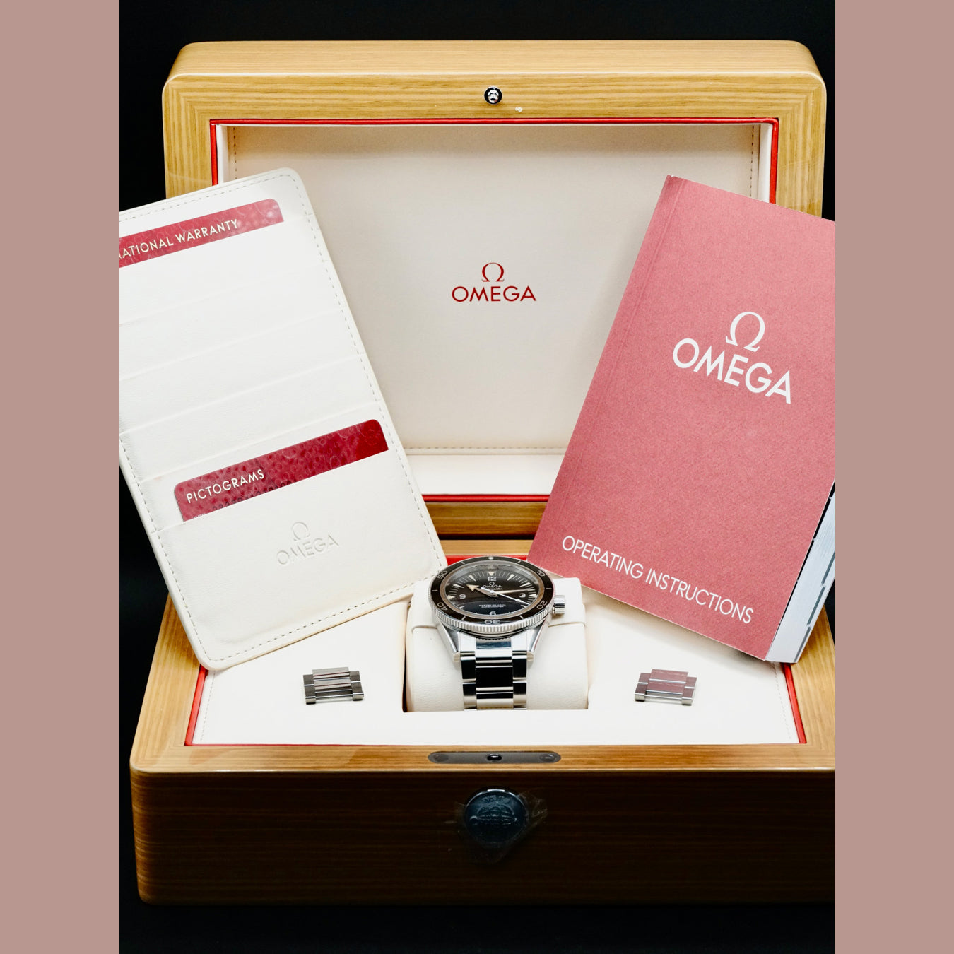 Omega 233.30.41.21.01.001 Seamaster 300 41mm