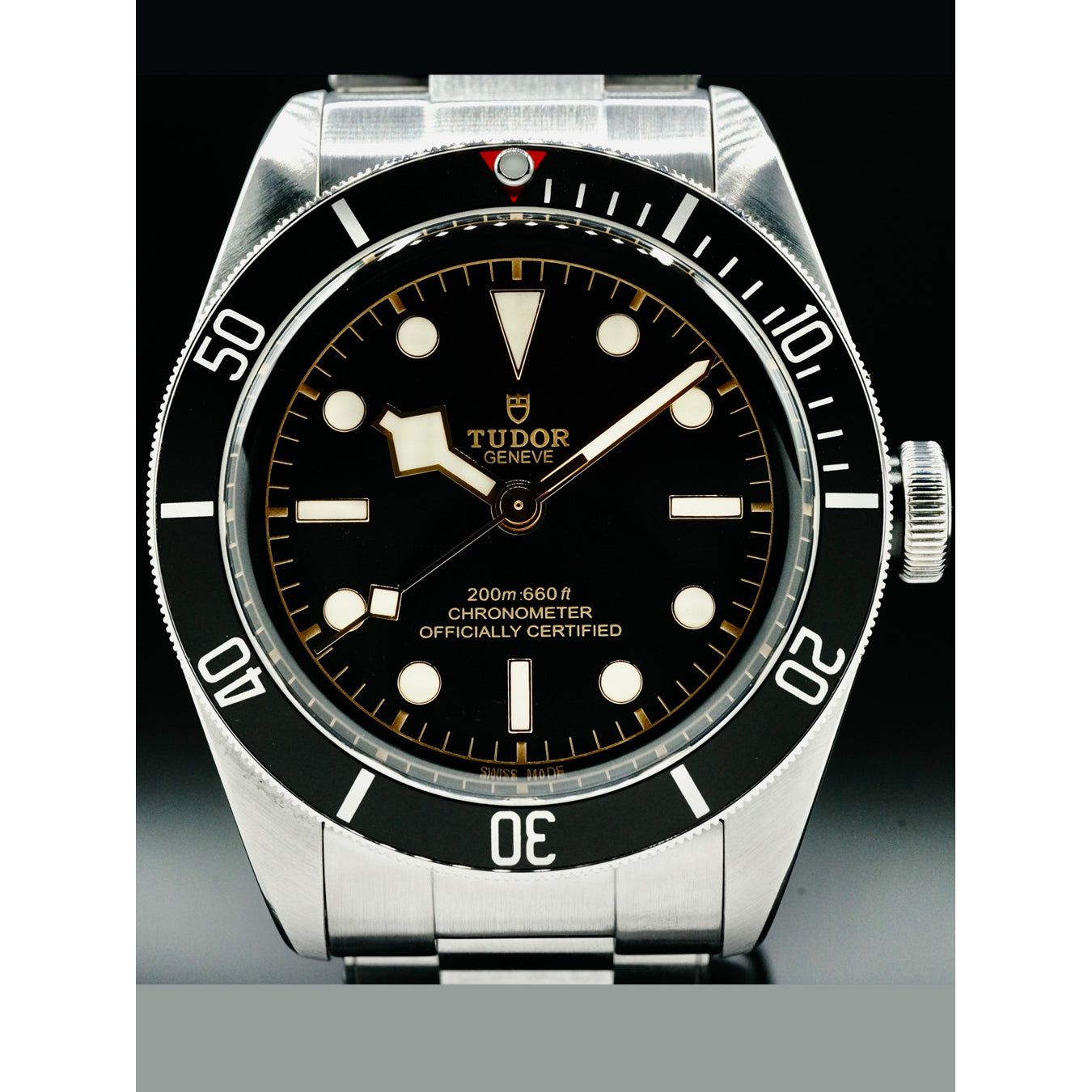 Tudor 79230N Black Bay Black Bezel Stainless Steel