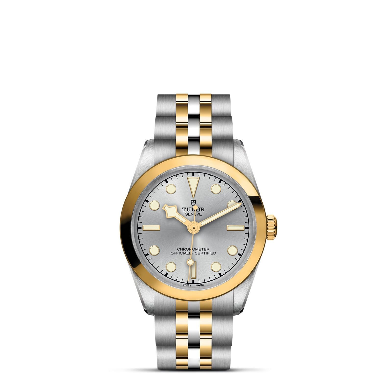 TUDOR Black Bay 31 S&G M79603-0002