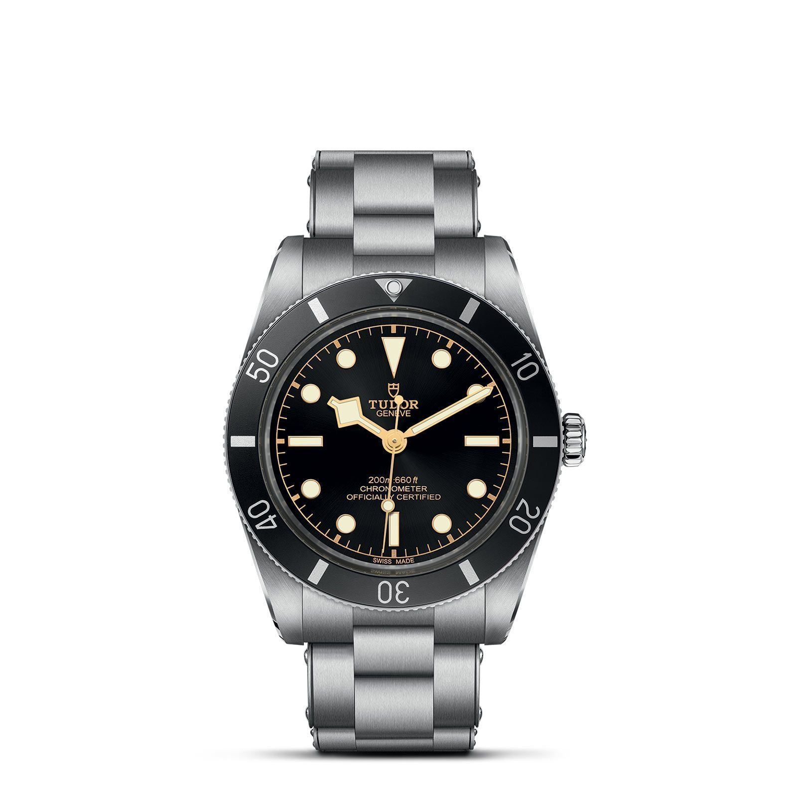 タロウサン専用　TUDOR Black Bay 54 M79000N-0001 TUDOR Black Bay 54 - Exquisite Timepieces