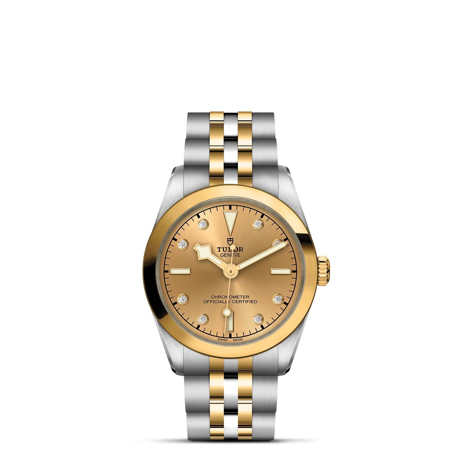TUDOR Black Bay 31 S&G M79603-0008