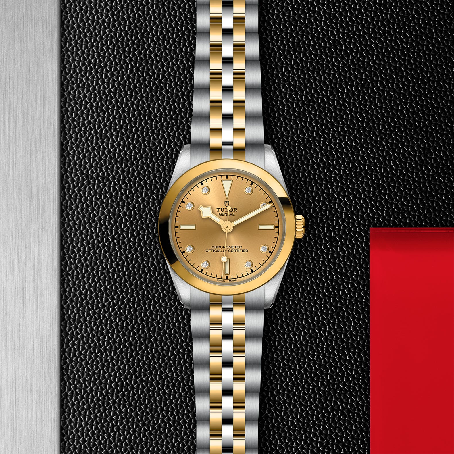 TUDOR Black Bay 31 S&G M79603-0008