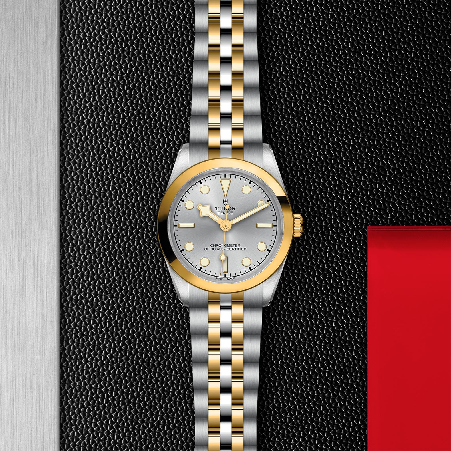 TUDOR Black Bay 31 S&G M79603-0002