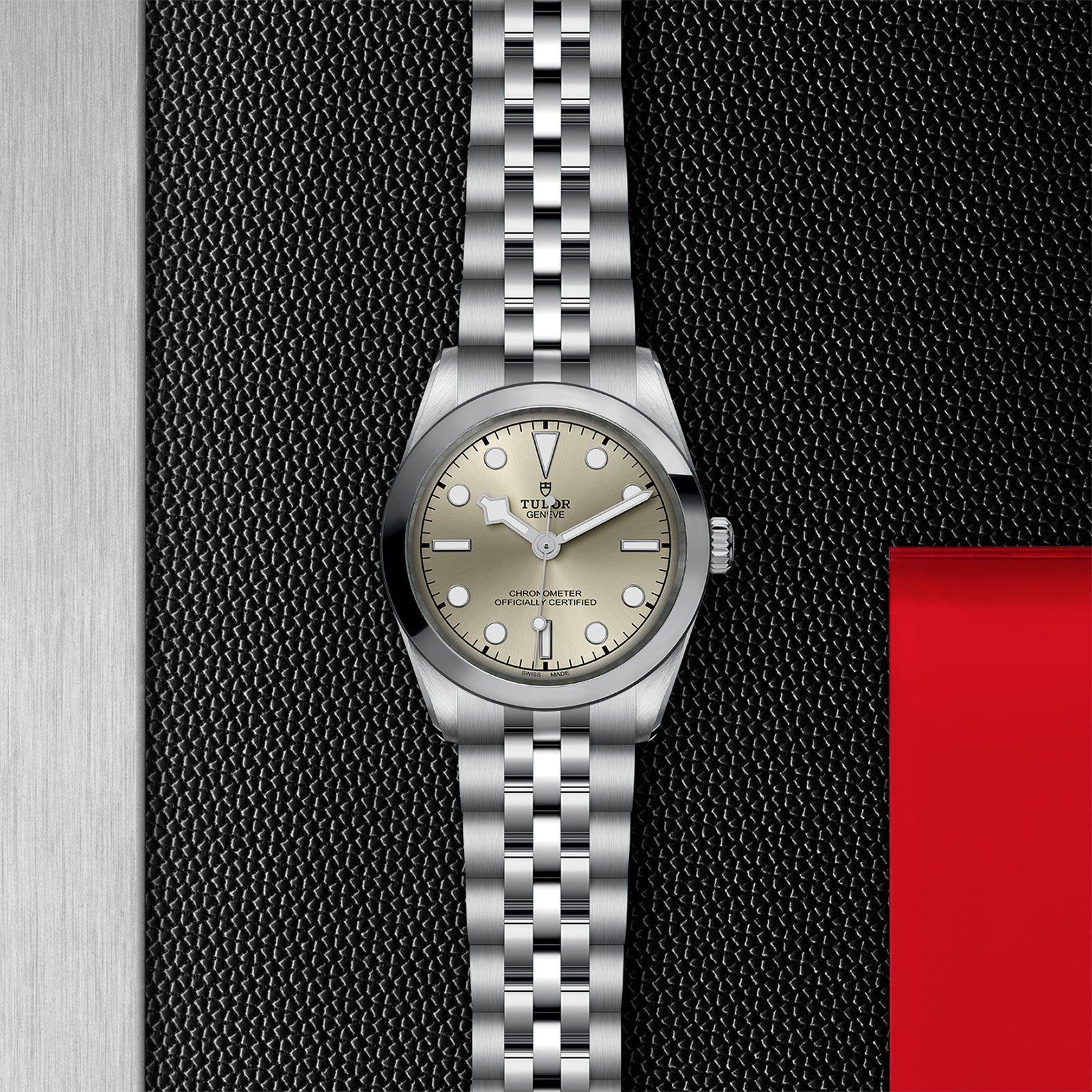TUDOR Black Bay 31 M79600-0003