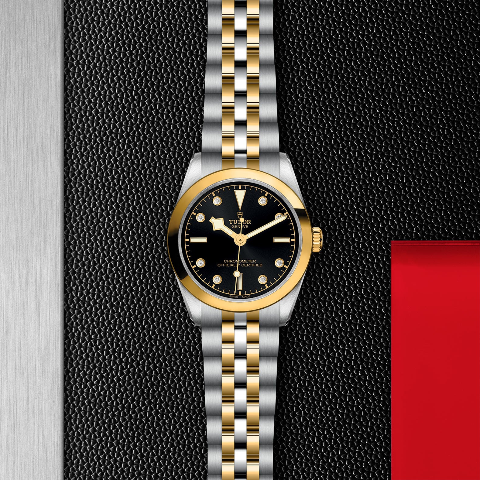 TUDOR Black Bay 31 S&G M79603-0006