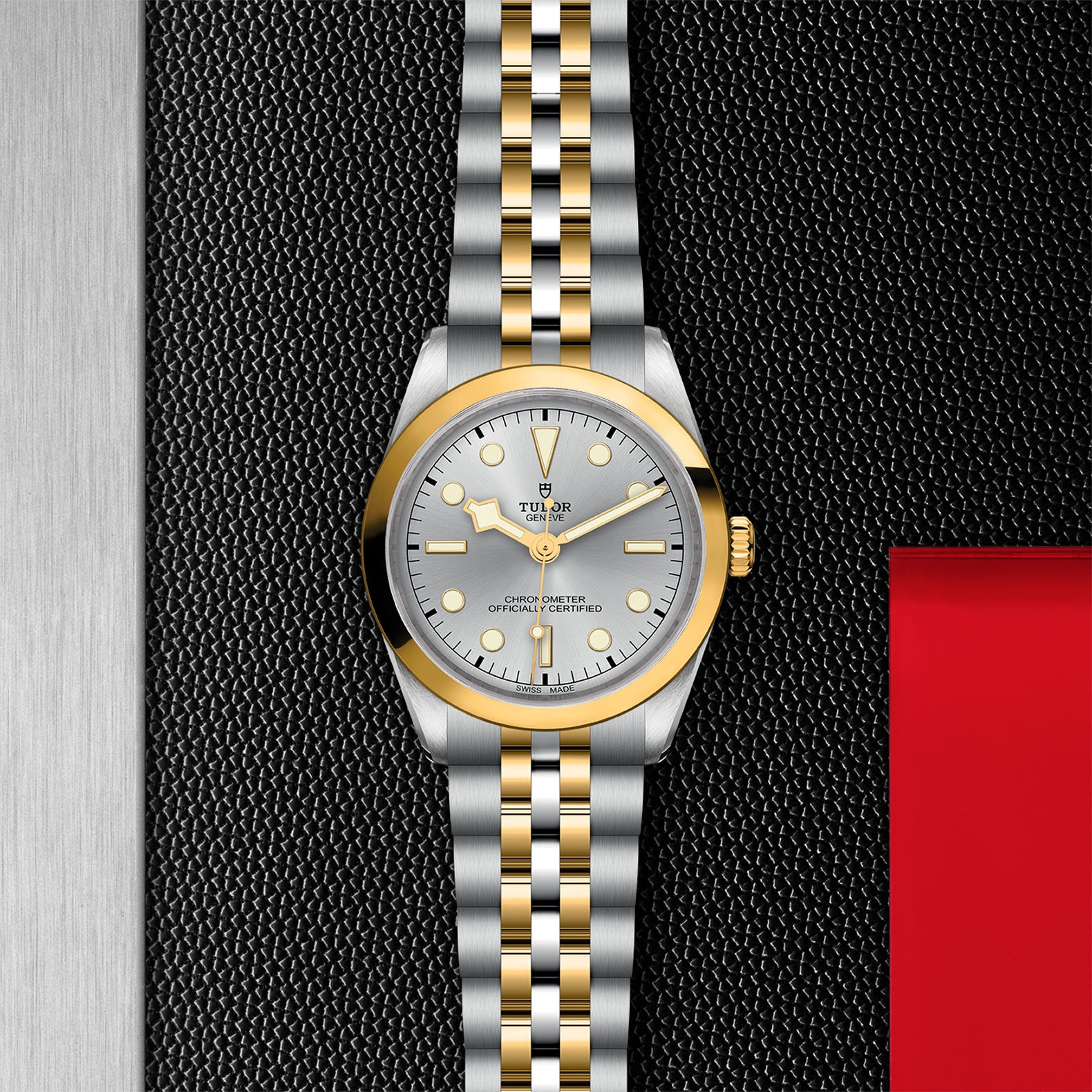 TUDOR Black Bay 36 S&G M79643-0002