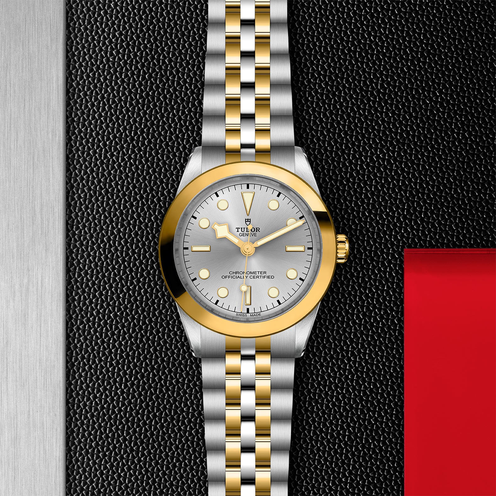 TUDOR Black Bay 39 S&G M79663-0002