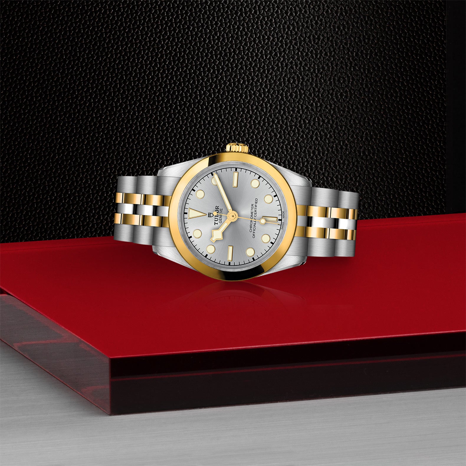 TUDOR Black Bay 31 S&G M79603-0002