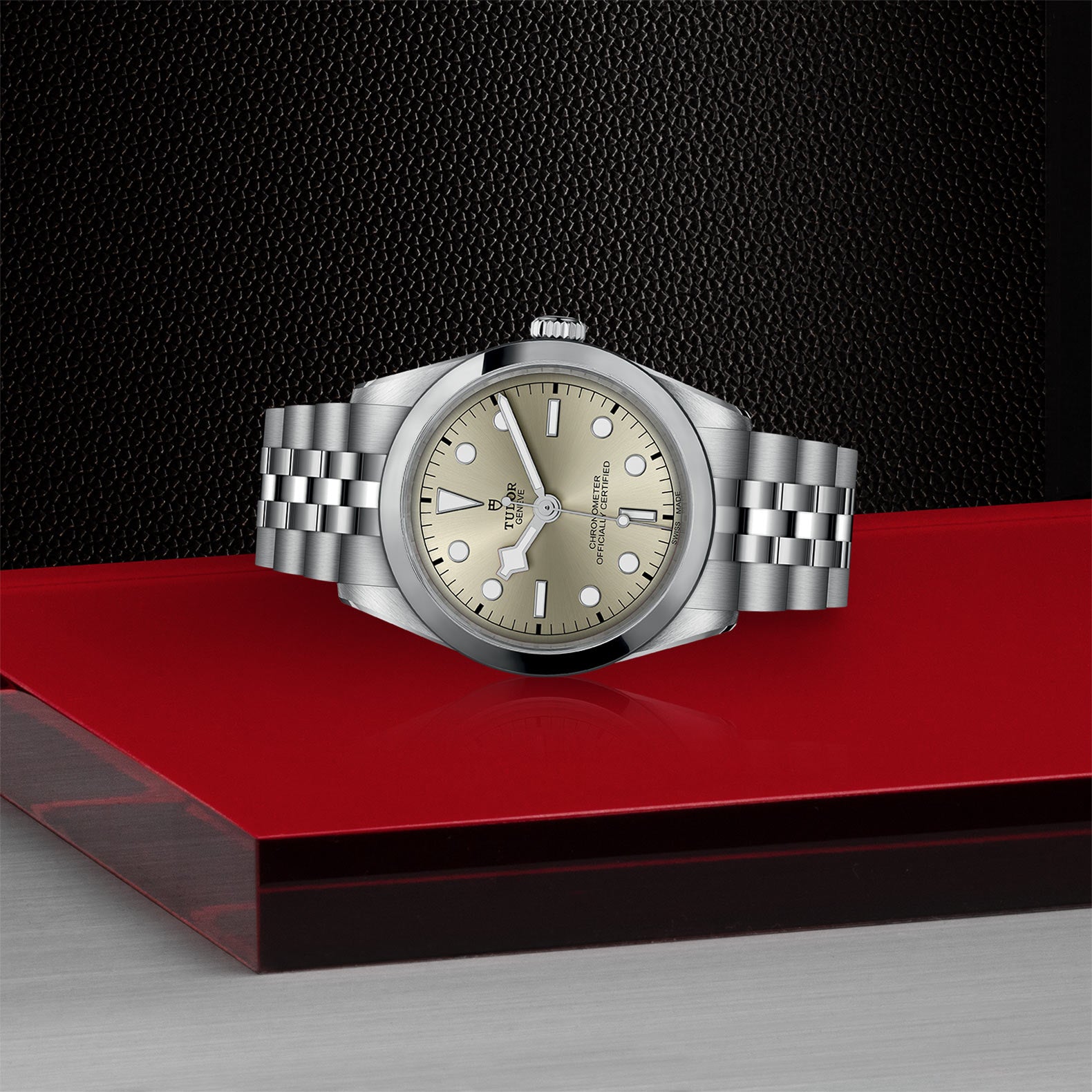 TUDOR Black Bay 36 M79640-0003