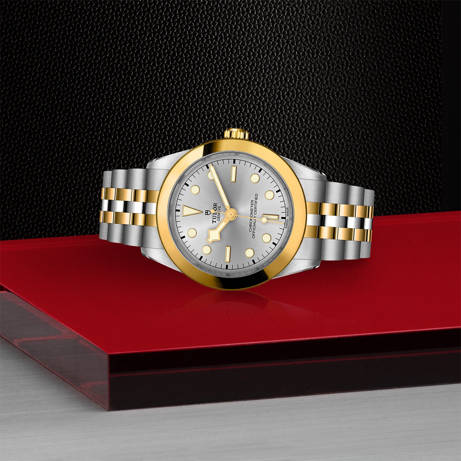 TUDOR Black Bay 39 S&G M79663-0002