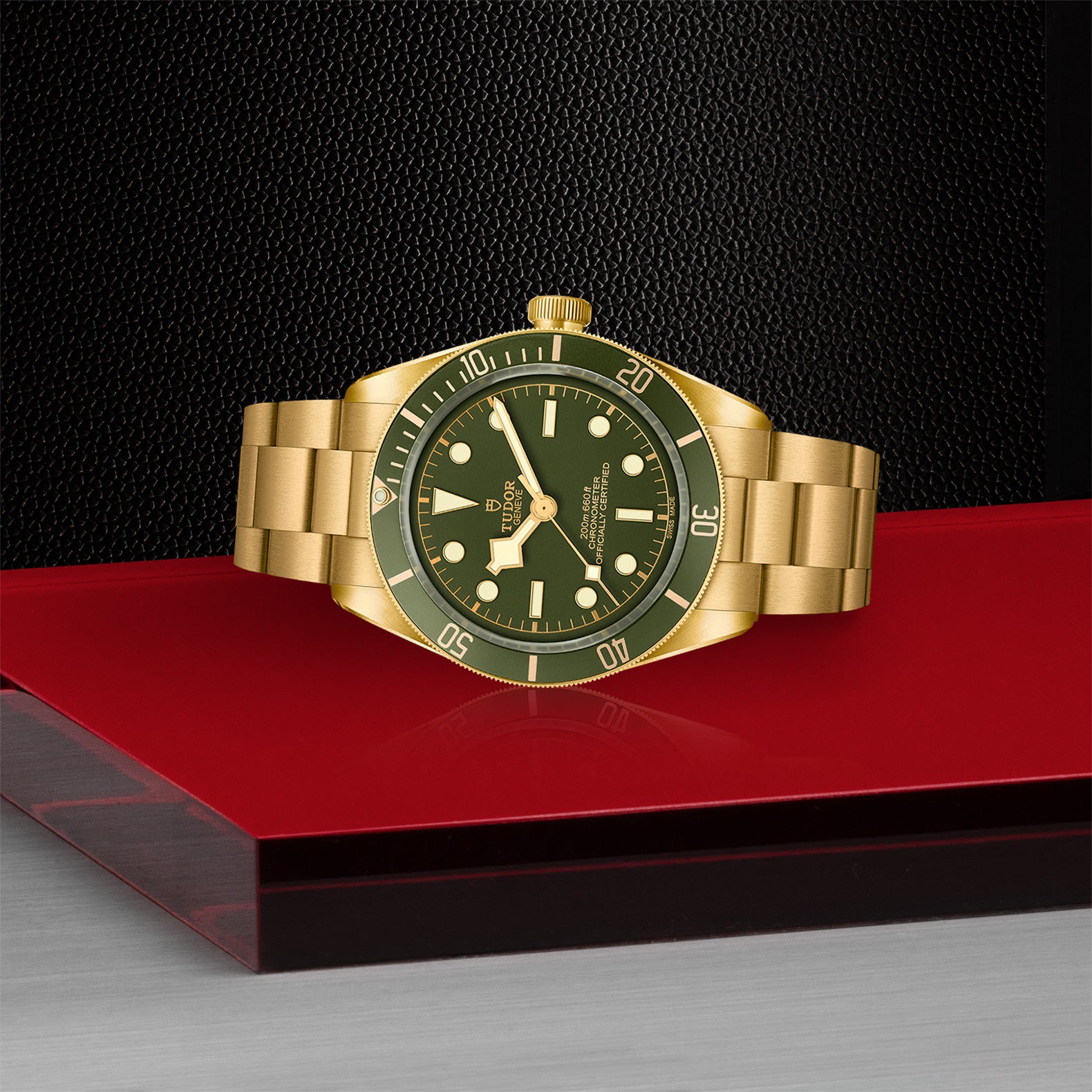 TUDOR Black Bay 58 18k M79018V-0006
