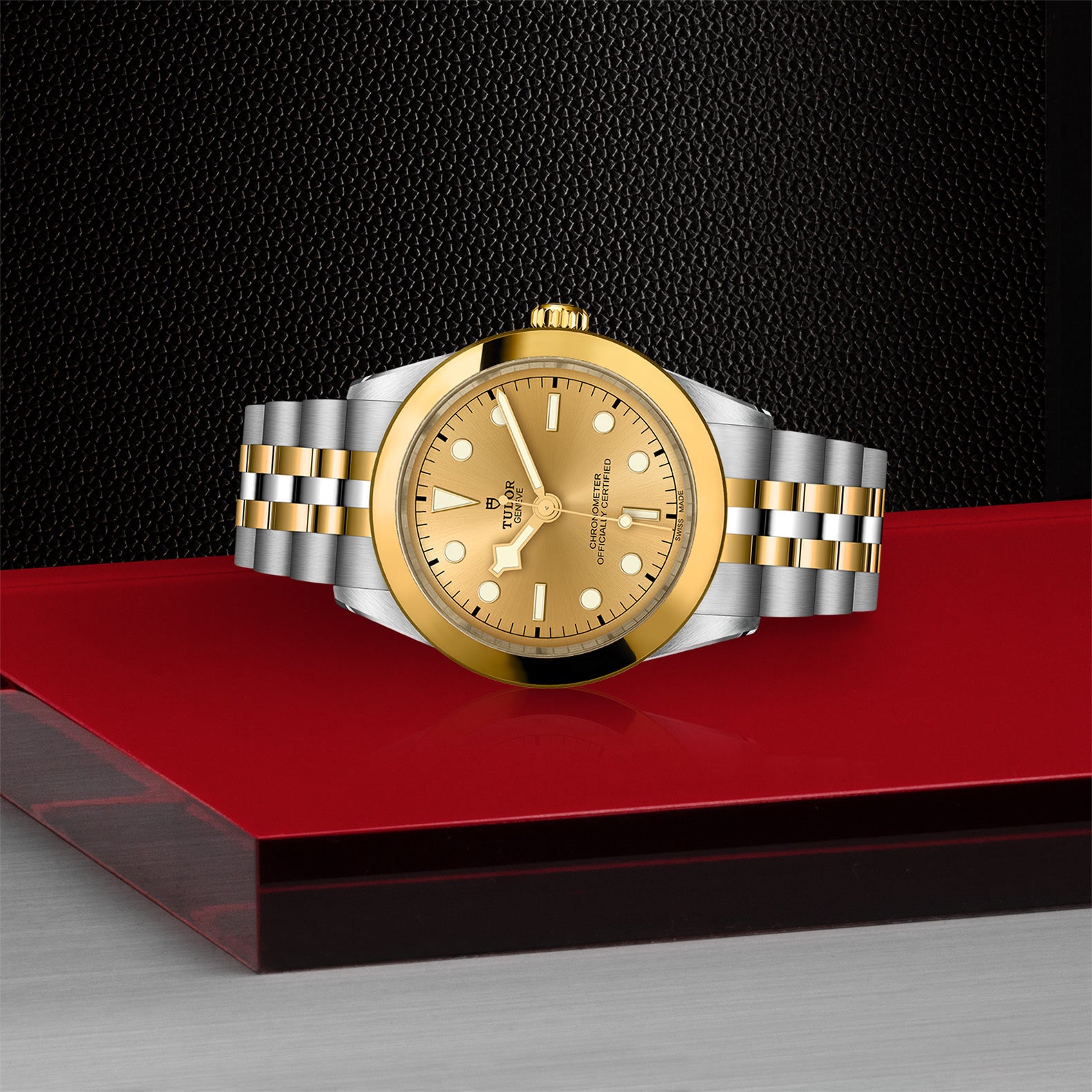 TUDOR Black Bay 39 S&G M79663-0005