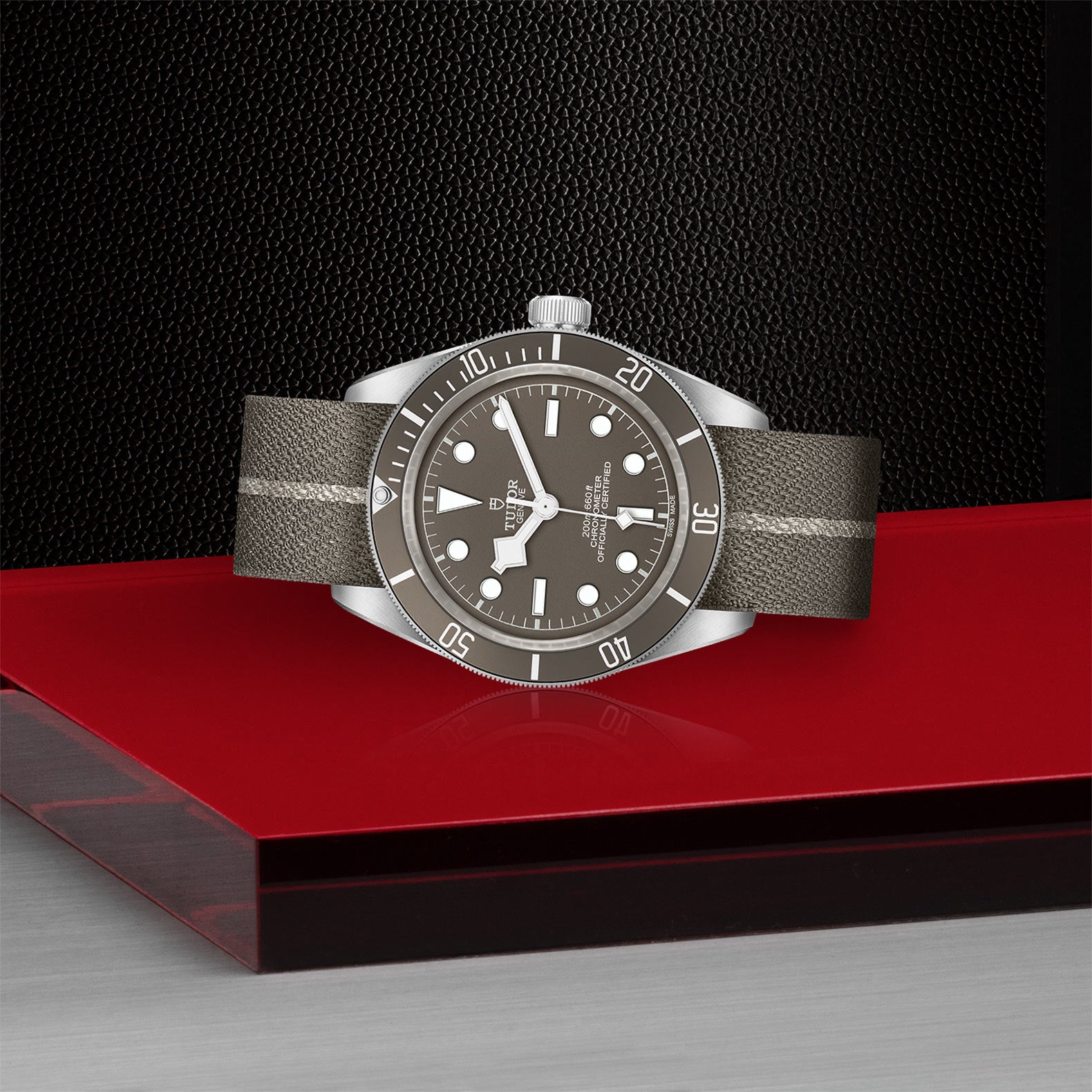 TUDOR Black Bay Fifty-Eight 925 M79010SG-0002