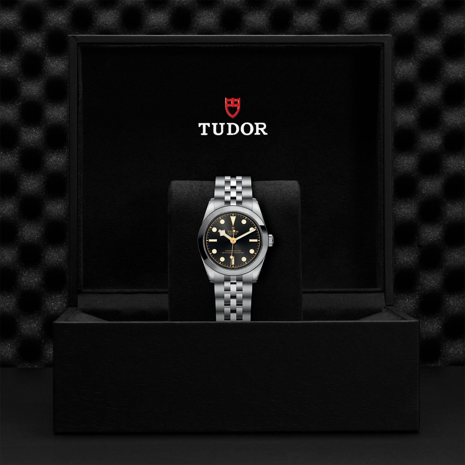 TUDOR Black Bay 31 M79600-0001