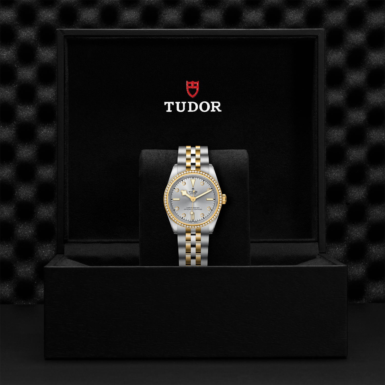 TUDOR Black Bay 31 S&G M79613-0006