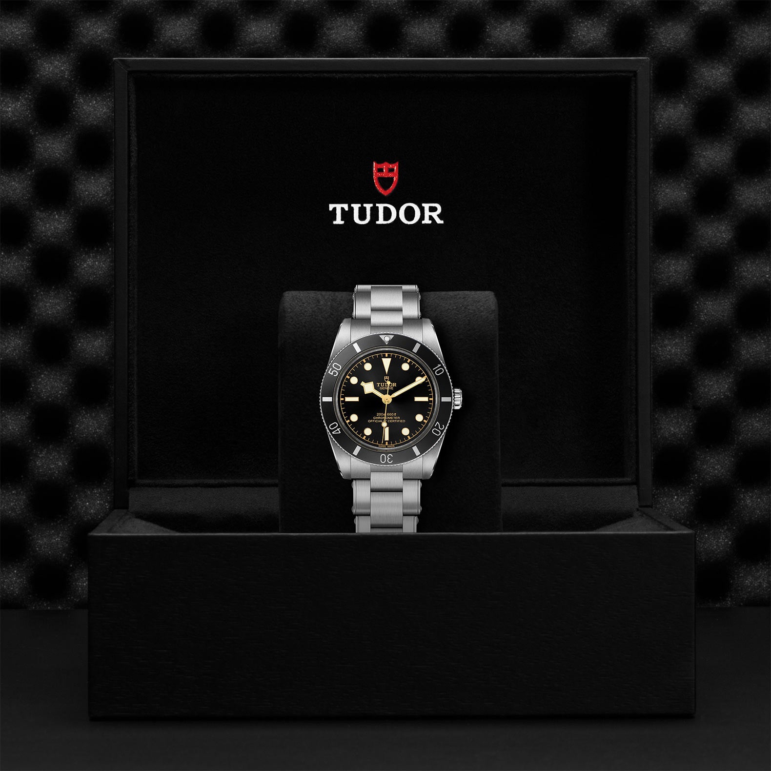 TUDOR Black Bay 54 M79000N-0001