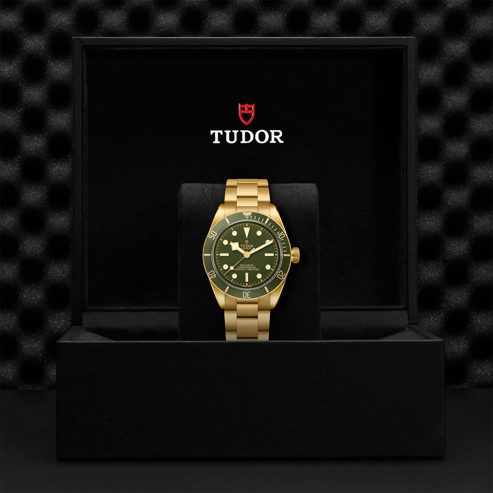 TUDOR Black Bay 58 18k M79018V-0006