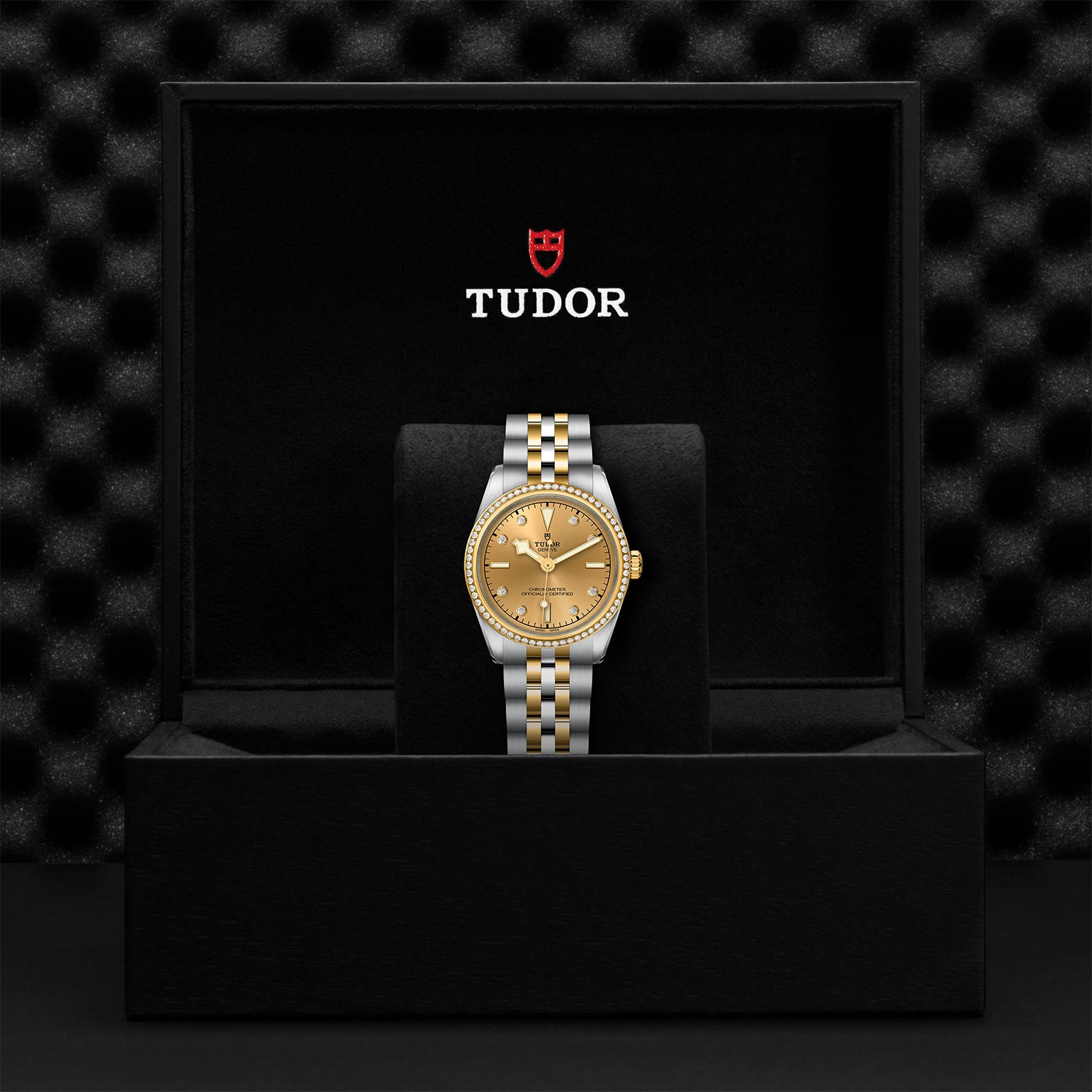 TUDOR Black Bay 31 S&G M79613-0007