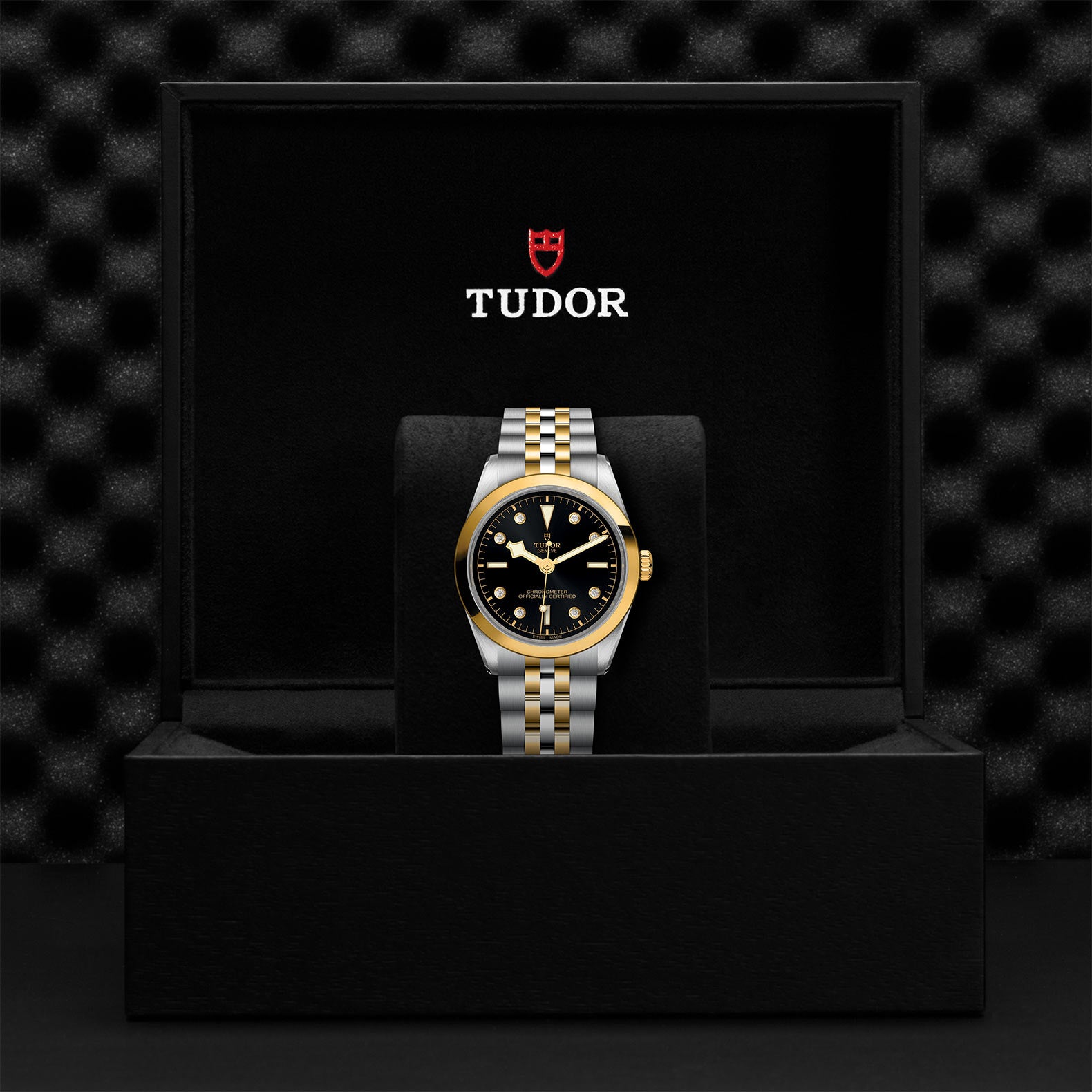 TUDOR Black Bay 36 S&G M79643-0006